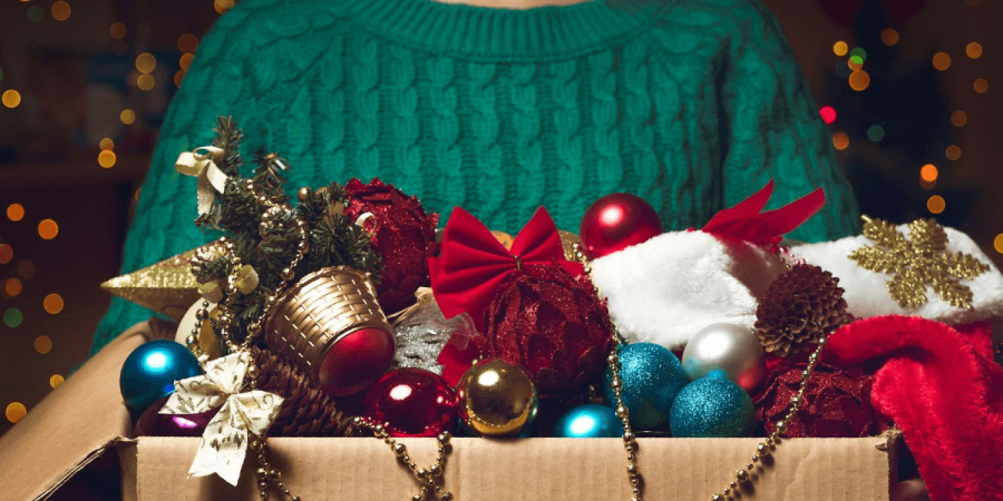 Keep Mice Out of the Christmas Decorations this Winter