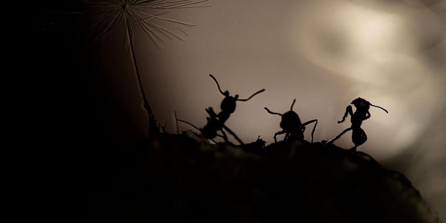 fall invaders