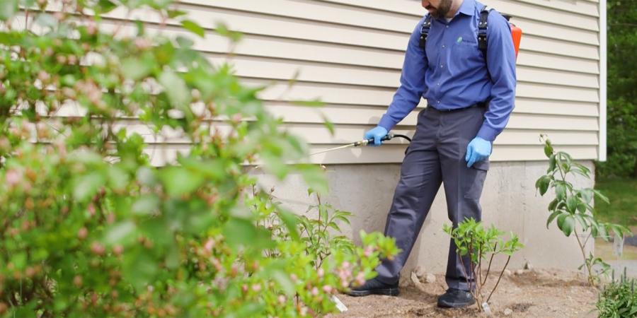 JP Pest Technician