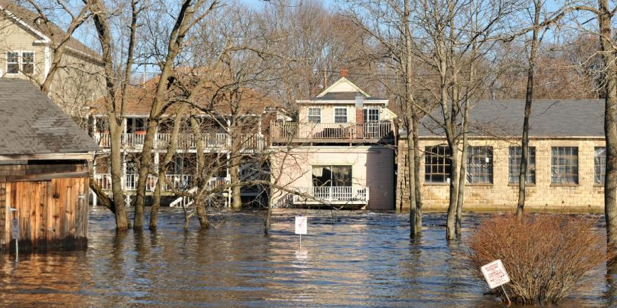 JP Pest -flood