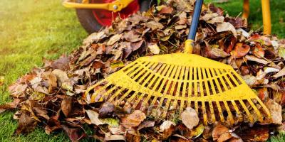 Pile of fallen leaves being raked