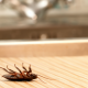 Roaches Don't Tip: How To Keep Roaches Out of Your Restaurant